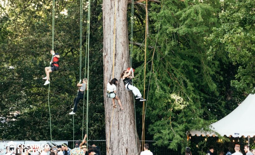 imgi_32_grimpe-d-arbres-en-festival